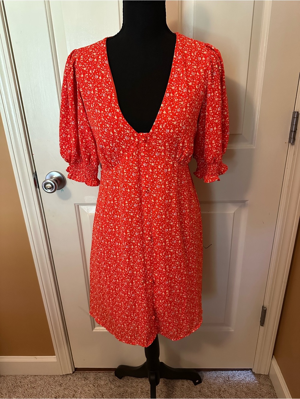 Sienna Sky Red Floral V-Neck Mini Dress